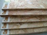 OSb