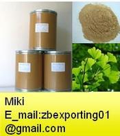 Ginkgo biloba P.E 