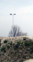 Floodpole