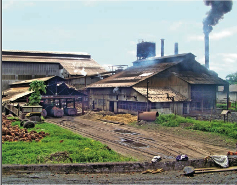 Crude Palm Oil CPO And Crude