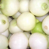 fresh onion