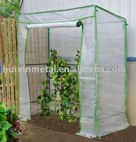 Steel tube vegetable greenhouse (HX53024D)
