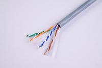 UTP CAT6 Network Cable With CE/RoHS/UL