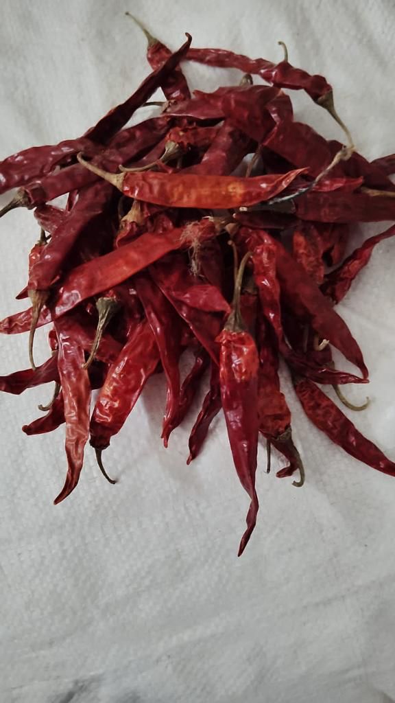 Dry Red Chilly