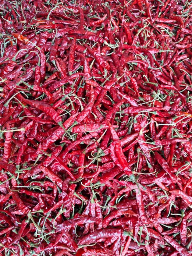 Dry Red Chilly