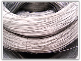 Galvanized Iron Wire