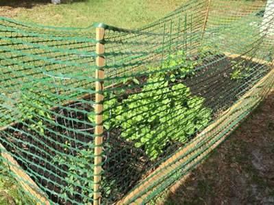 Green Barrier Fencing Mesh