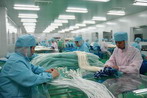 medical disposables and supplies: medical tubing