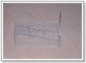 Wire Processed Products
