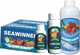 Seaweed Amino