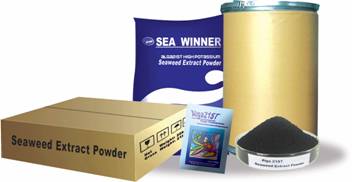 Seaweed Extract Powder