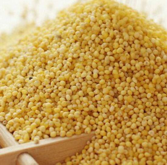 Green Amp Yellow Millet