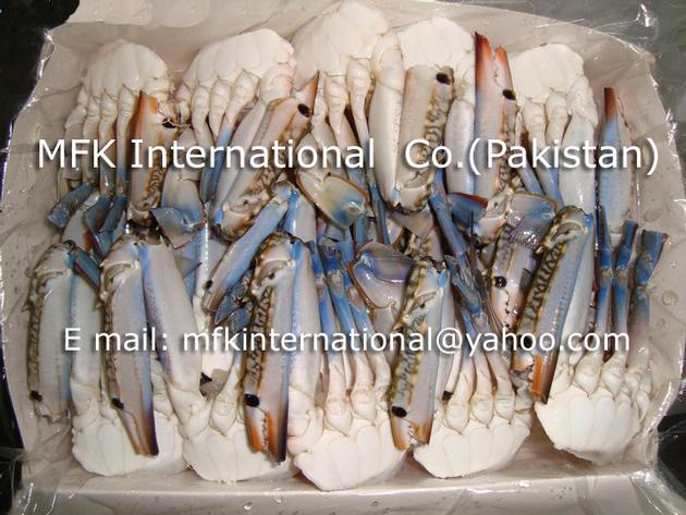 3SPOT CRAB