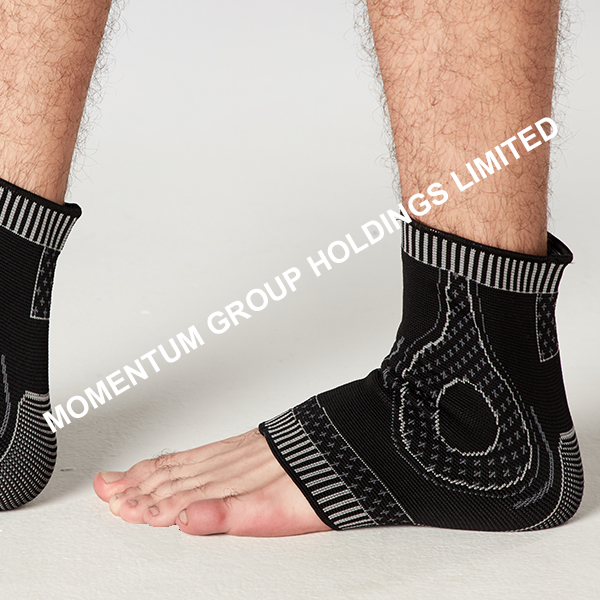 Ankle Support