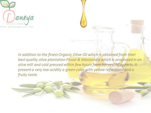 Organic Olive Oil