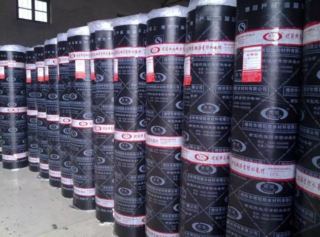 SBS\APP modified bitumen waterproof membrane