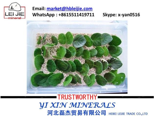 Perlite
