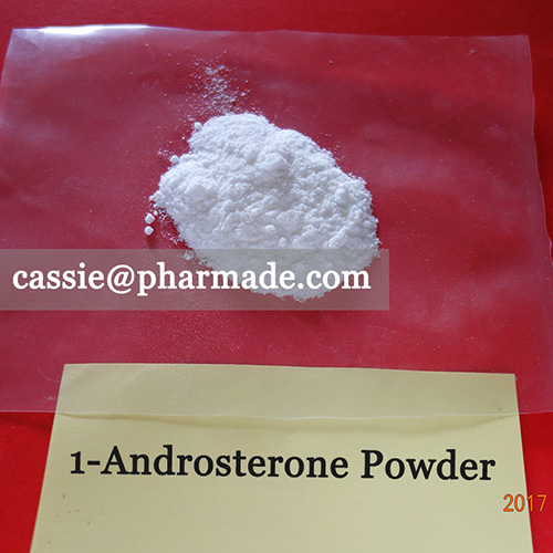 1-Androsterone Powder