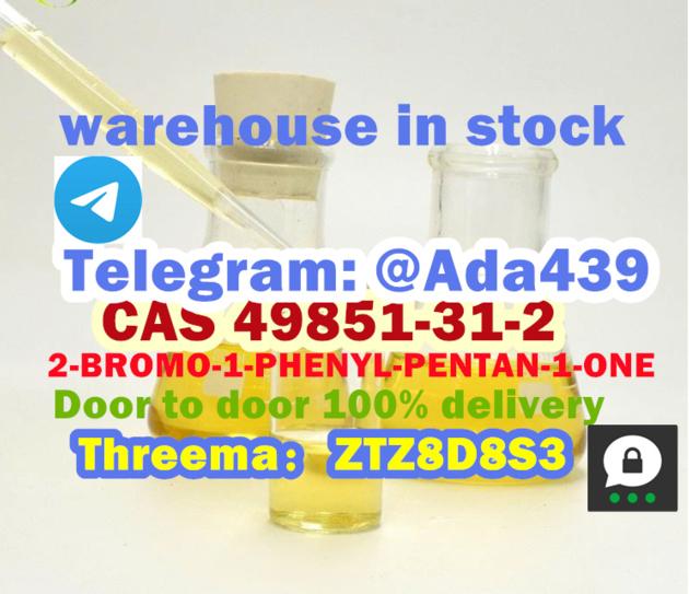 CAS 49851 31 2 2 BROMO