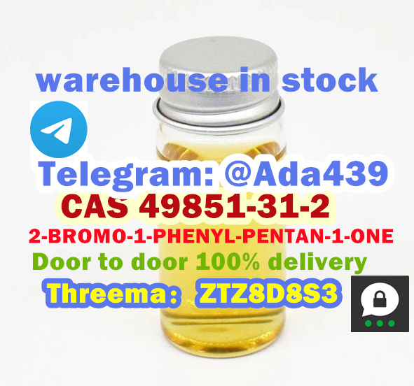CAS 49851 31 2 2 BROMO