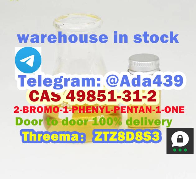 CAS 49851 31 2 2 BROMO