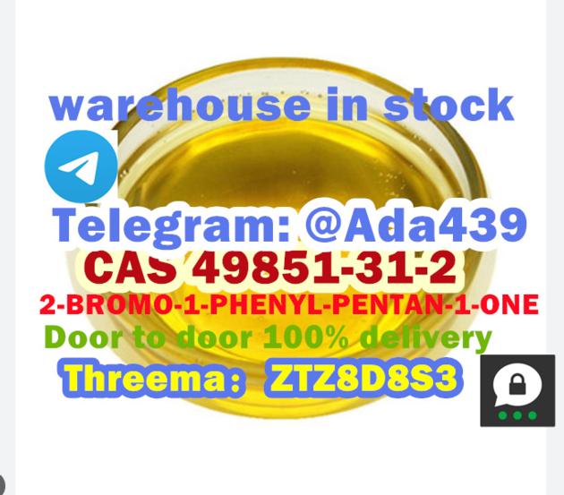 CAS 49851 31 2 2 BROMO