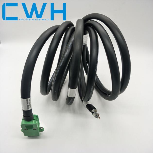 Customized Part Auto Engine Wire Harness