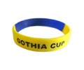 lanyards,keyring, silicone wristbands, bags, mugs, sports bottles, pvc products, pens, stationery