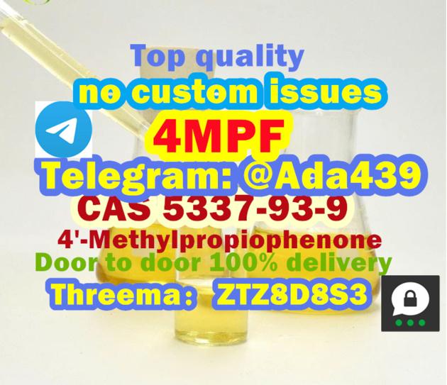 Sell PMK Oil CAS 5337-93-9 PMK ethyl glycidate with large Stock Good Price 