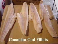 Canadian Cod Fillets