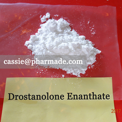 99%+ Drostanolone Enanthate Powder Steroid Raws Legit Source