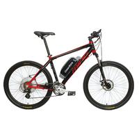 Electric bikes GT-26”MTB 36V 250W