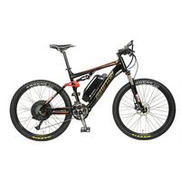 Electric bikes SD1303003