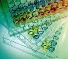Elisa Kits