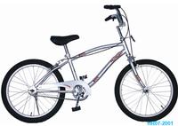20inch bicycle
