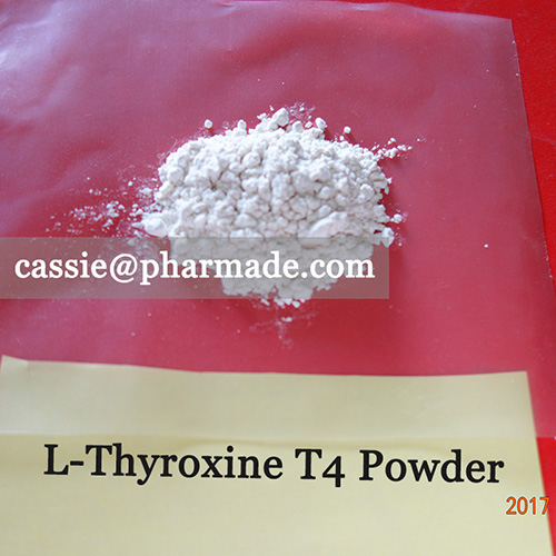L-Thyroxine T4 Powder