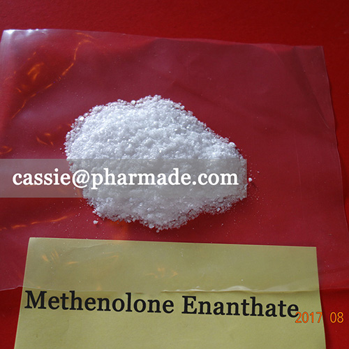 99%+ Methenolone Enanthate Powder Steroid Raws Legit Source