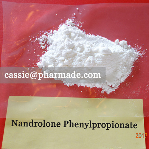 99%+ Nandrolone Phenylpropionate Powder Steroid Raws Legit Source