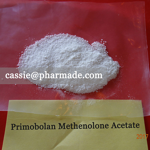 99%+ Primobolan Methenolone Acetate Powder Steroid Raws Legit Source