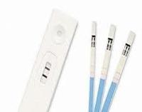 Rapid Tests