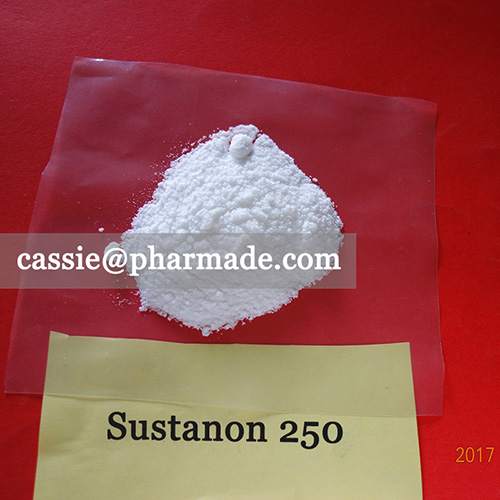 99%+ Sustanon 250 Powder Steroid Raws Legit Source
