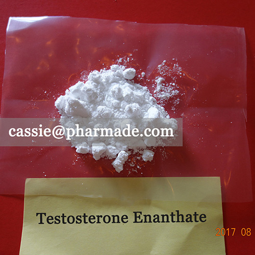 99%+ Testosterone Enanthate Powder Steroid Raws Legit Source