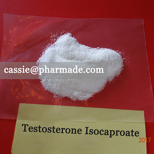 99%+ Testosterone Isocaproate Powder Steroid Raws Legit Source