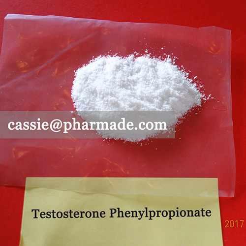 99%+ Testosterone Phenylpropionate Powder Real Steroids Supplier  