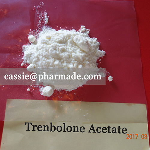 99%+ Trenbolone Acetate Powder Steroid Raws Legit Source
