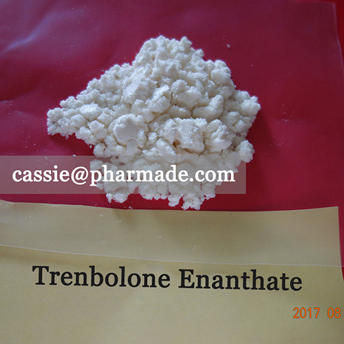99%+ Trenbolone Enanthate Powder Steroid Raws Legit Source