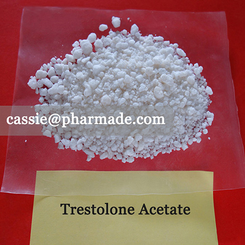 Trestolone Acetate MENT Powder