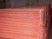 Copper Cathodes and Gold