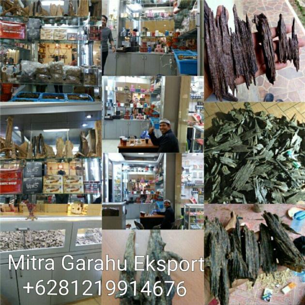 Mitra Gaharu Eksport