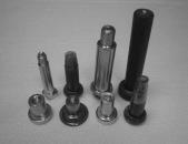 Cold Forging castor rivet and axle